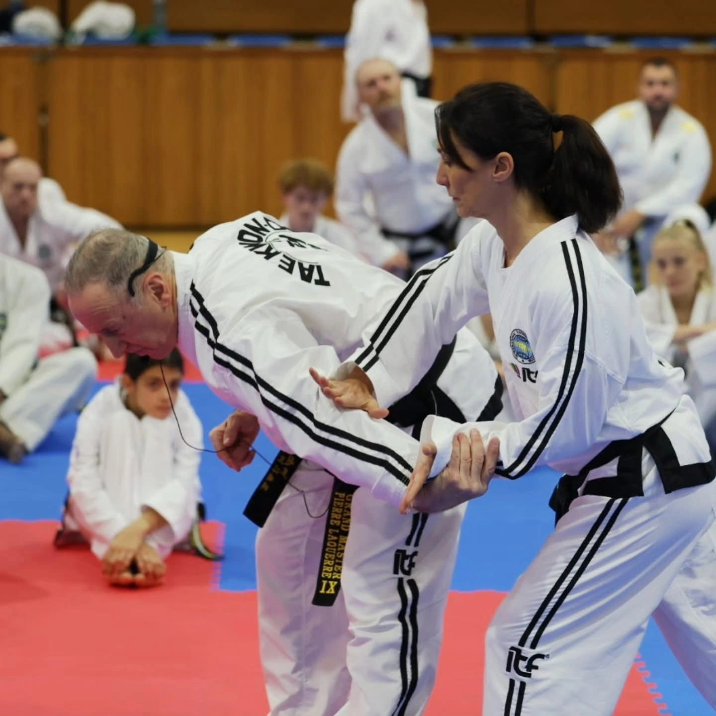 189th International Instructor Courses in Trnava, Slovakia: Taekwon-Do practitioners share expertise and grow together.