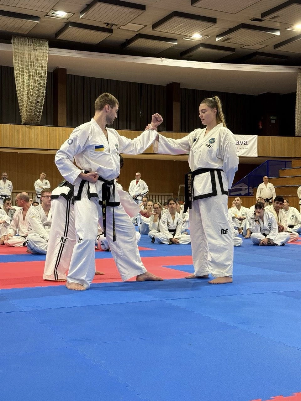 Taekwondo training at the 189th International Instructor Courses in Trnava, Slovakia, showcasing expertise and unity.