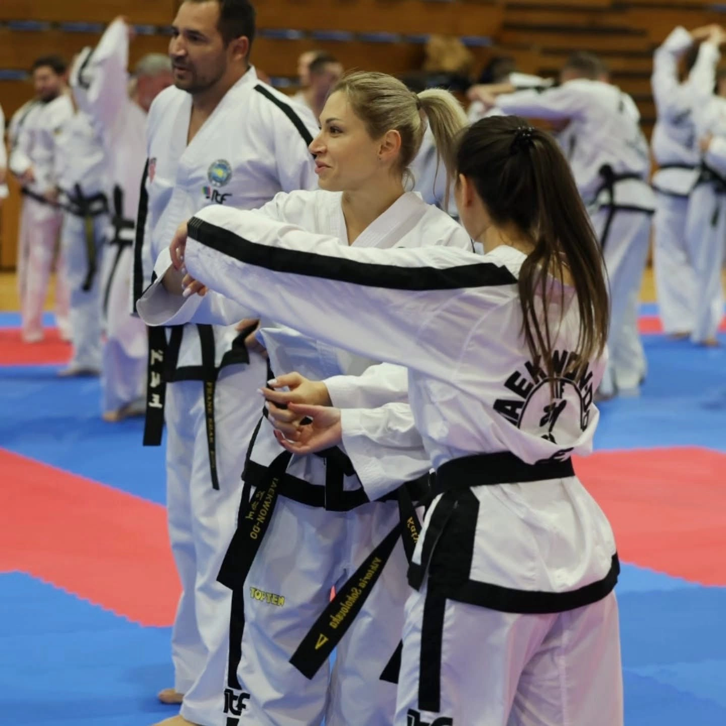 Alt text: Participants engage in Taekwon-Do training at the 189th International Instructor Courses in Trnava, Slovakia, 2025.