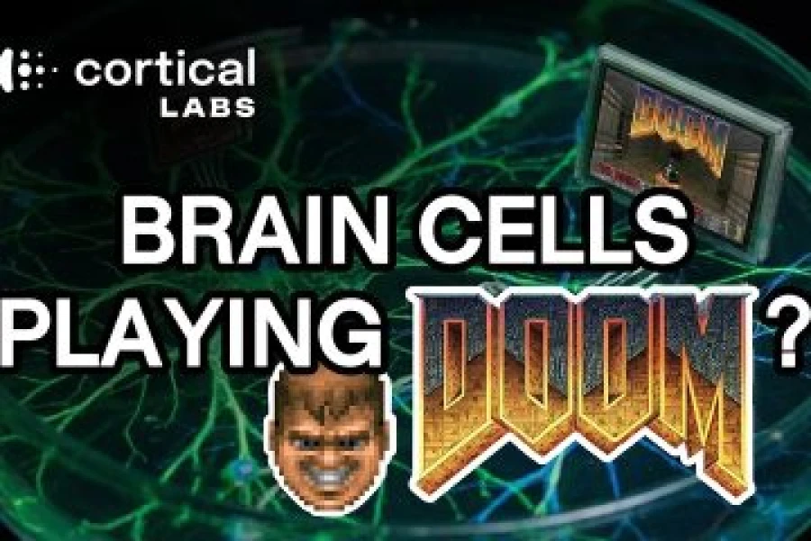 Як DOOM запустили на людських нейронах – що показав CL1?