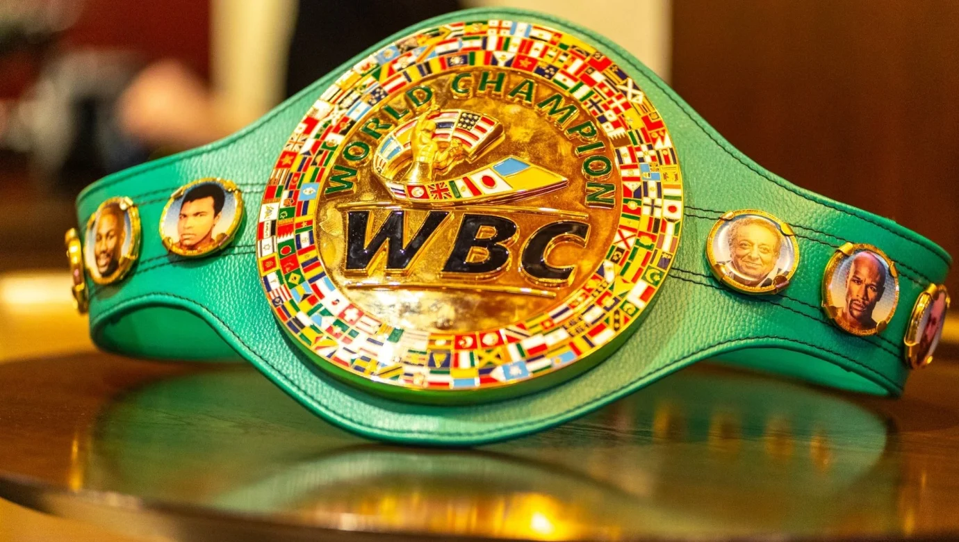 Хто просів у рейтингу WBC? Богачук вибув, Усик – чемпіон