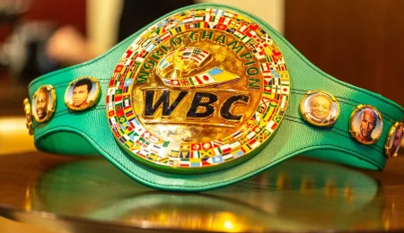 Хто просів у рейтингу WBC? Богачук вибув, Усик – чемпіон